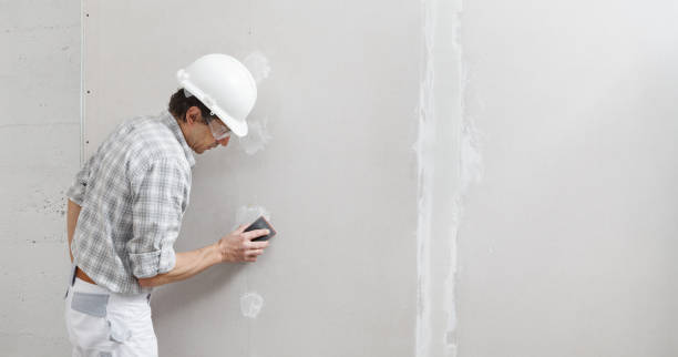 Best Mold Damage Restoration  in Winter Springs, FL