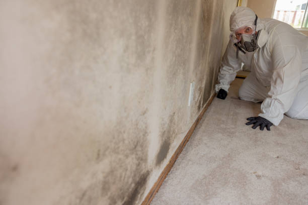 Best Residential Mold Inspection & Testing  in Winter Springs, FL